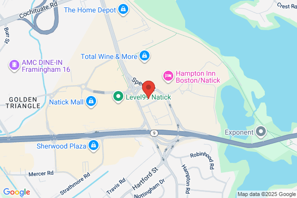 Orthopedics New England