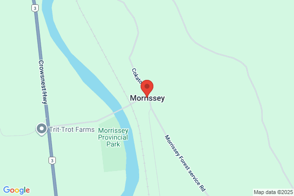 Morrissey, Morrissey & Rydzik, LLC
