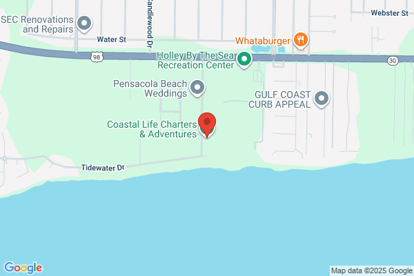 Coastal Life Charters & Adventures