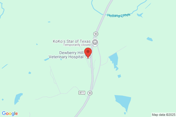 Dewberry Hill Veterinary Hospital Inc