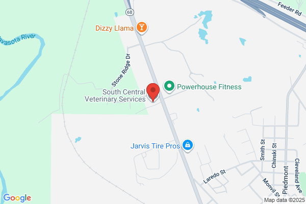 South Central Veterinary Services