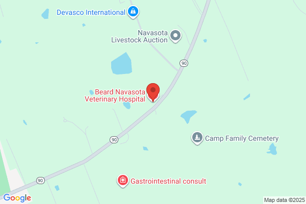 Beard-Navasota Veterinary Hospital