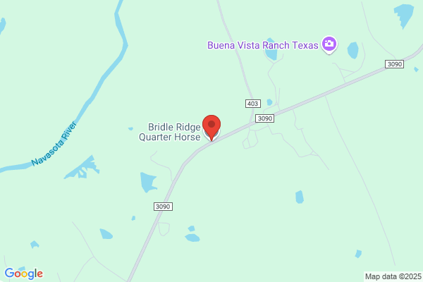 Bridle Ridge Quarter Horse Farm
