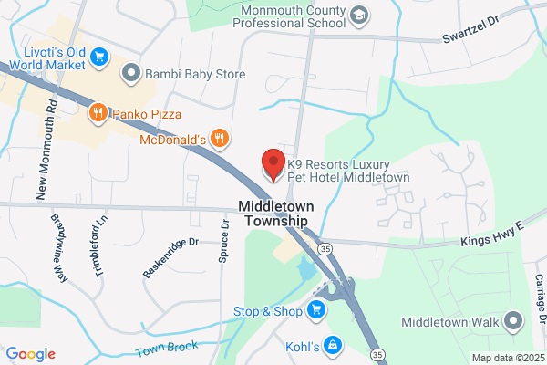 K9 Resorts Luxury Pet Hotel Middletown