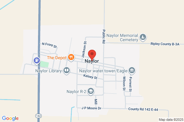 Naylor Fabric