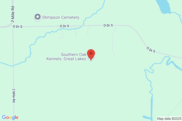 Lone Oak Kennels