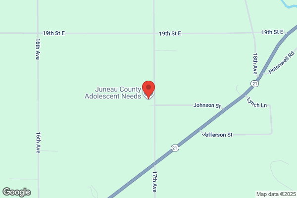 Juneau County Adolescent Needs