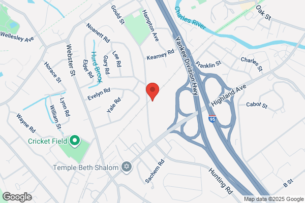 Boston Video Services Inc