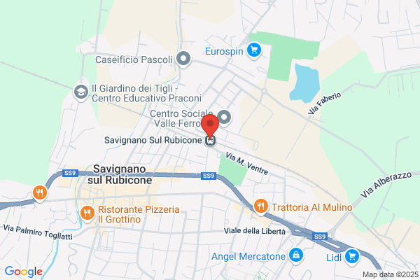 Savignano Towing