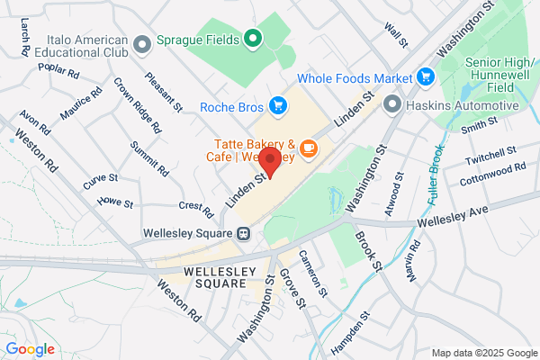 Wellesley Systems Inc