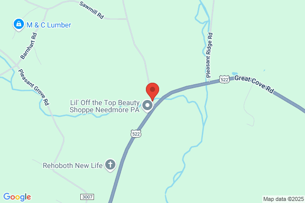 Wertz Lee Light Hauling