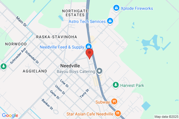 NAPA Auto Parts - Needville Auto Supply Inc