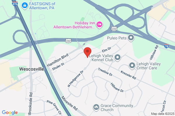 Maple Hills Veterinary Hospital