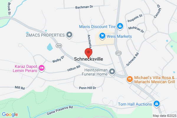 Schneck Inc Curtis E