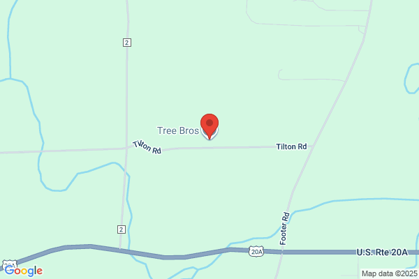 The Tree Bros LLC