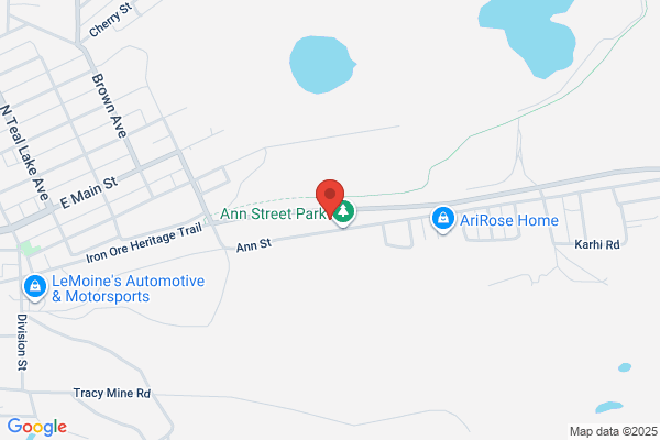Negaunee City of, City Assessor