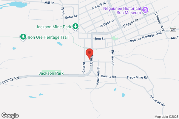 Northern Electric Automotive
