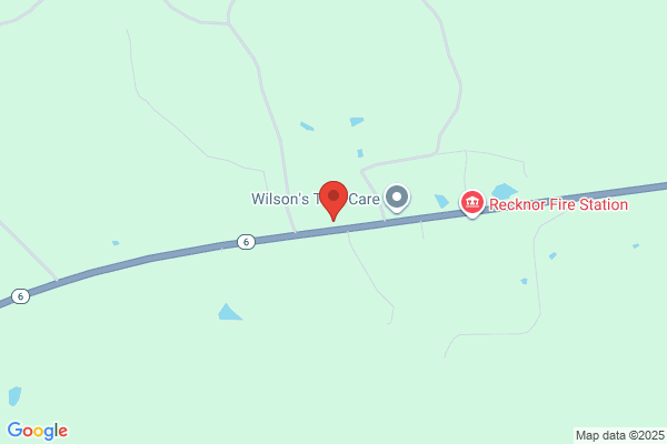 Armadillo Junction