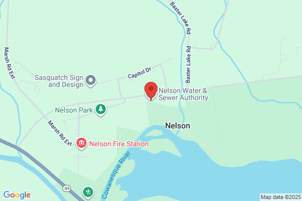 Nelson Township Water & Sewer Authority