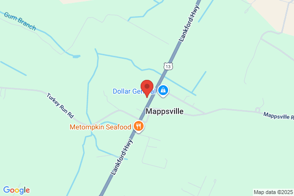 NAPA Auto Parts - Mappsville