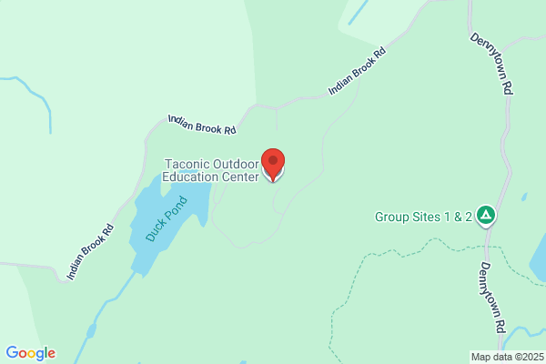 Taconic Surveyng & Engnrng