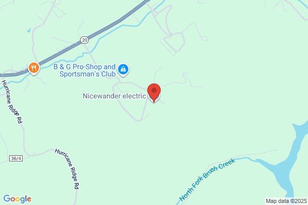 Ronnie's Electric Service
