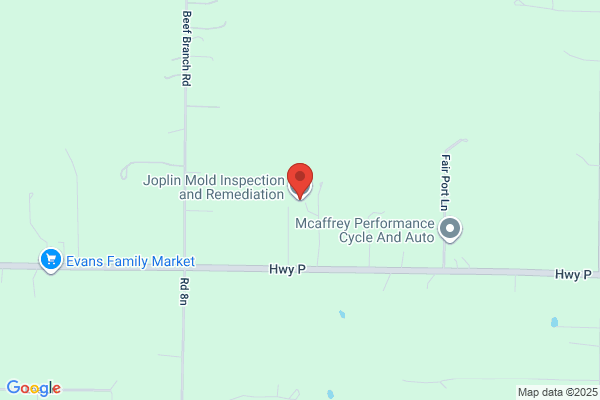 Joplin Mold Inspection and Remediation