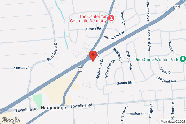 Hauppauge Palace Diner