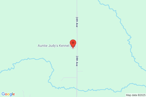 Auntie Judy's
