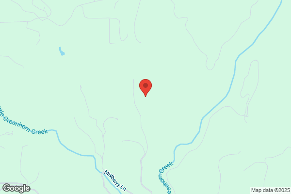 High Sierra Tree Service