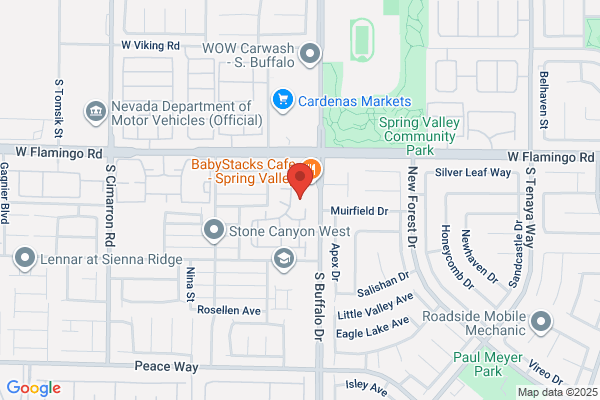 Nevada Pool Service