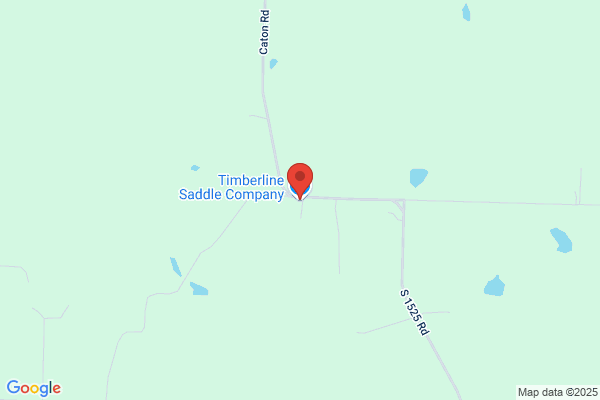 Orthoflex Saddleworks Inc