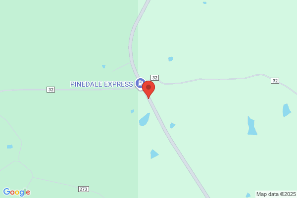 Pinedale Grocery