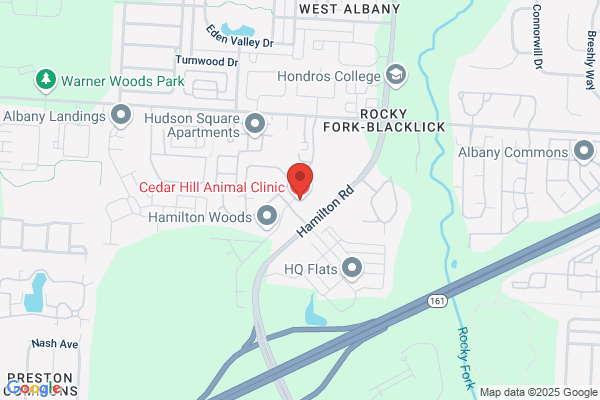 Cedar Hill Animal Clinic