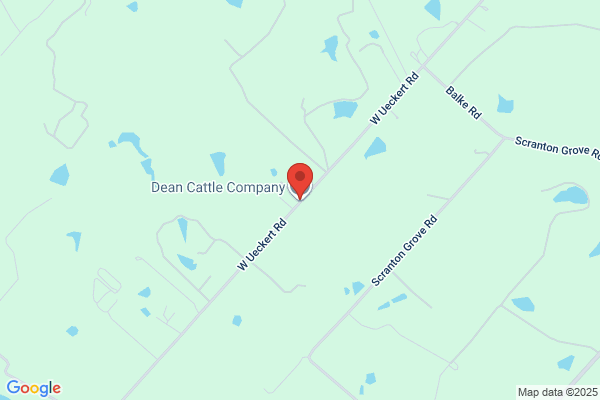 Deshazer Cattle Company