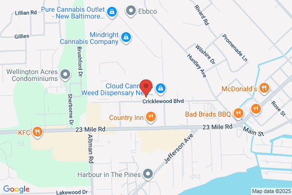 Bayview Collision Inc
