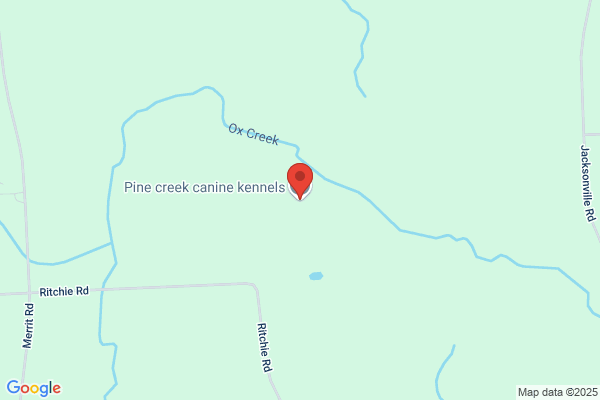 Pinetree Kennels