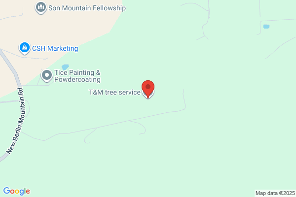 T & M Tree Service