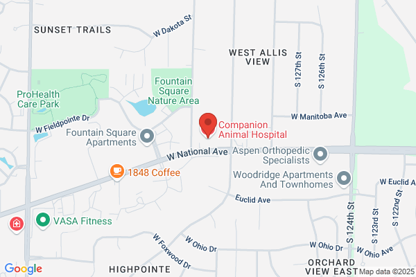Companion Animal Hospital