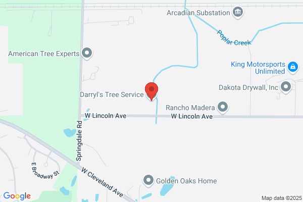 Darryl's Tree Service