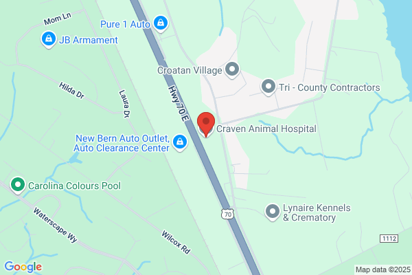 Craven Animal Hospital PA