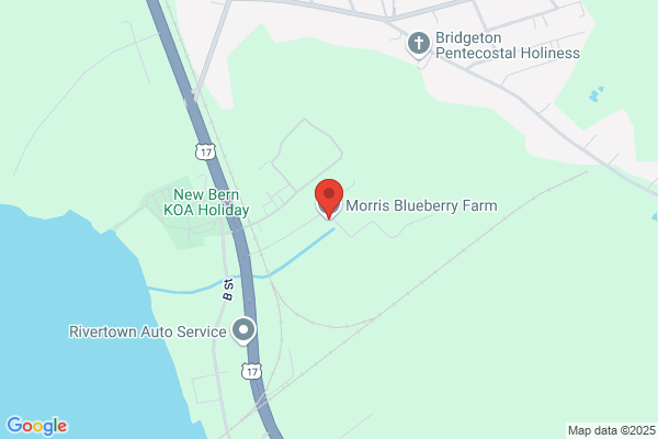 Morris Brothers Blueberry Farm