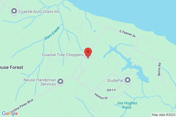 Coastal Tree Choppers