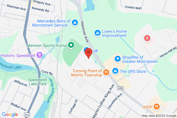 Advance Auto Parts