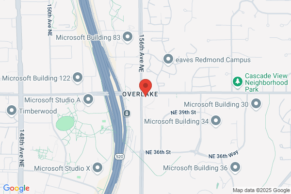 Microsoft Corporation, Sales