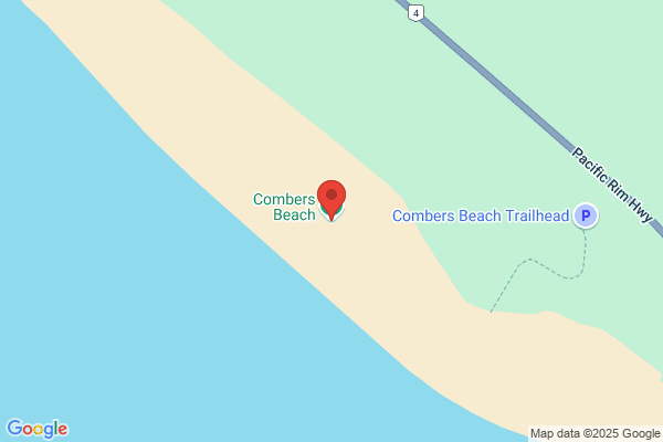 Beach Combers