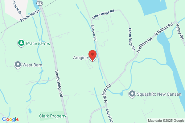 Amgine LLC