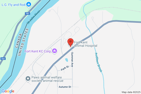 Fort Kent Animal Hospital