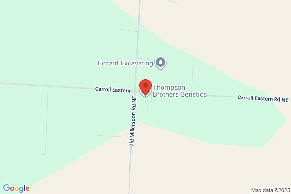 Thompson Gene Clu