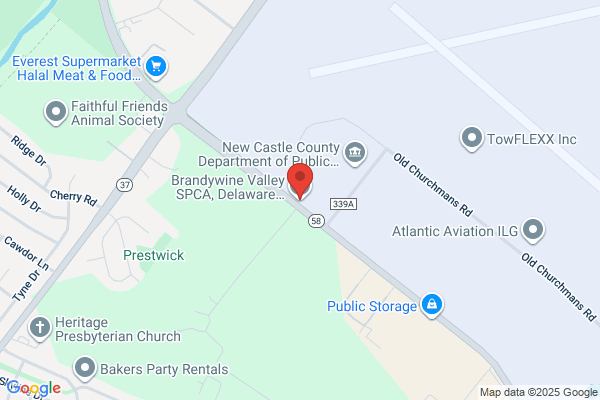 New Castle Shelter & Animal Health Center